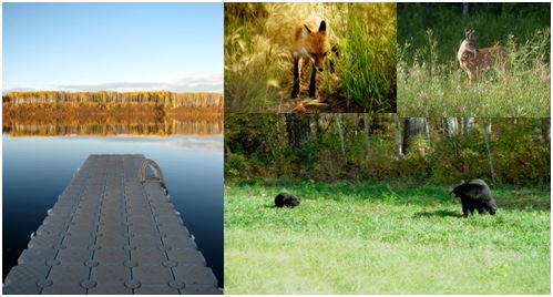 Collage of beautiful sites in High Level.