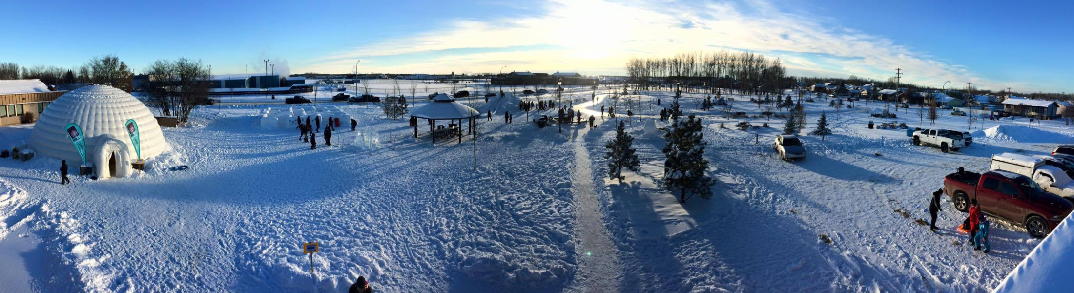 Winter Website Cover (2200 x 600 px)